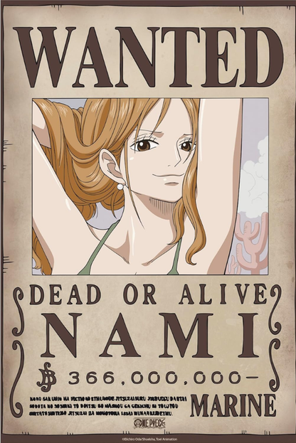 Póster One Piece Wanted