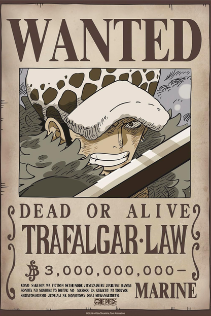 Póster One Piece Wanted