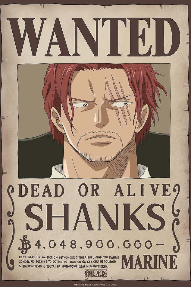 Póster One Piece Wanted