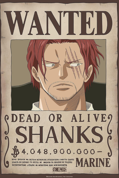 Póster One Piece Wanted