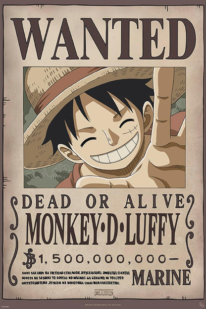 Póster One Piece Wanted